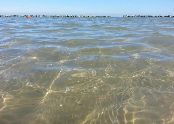 Apartment Gianfranca Bellaria-Igea Marina